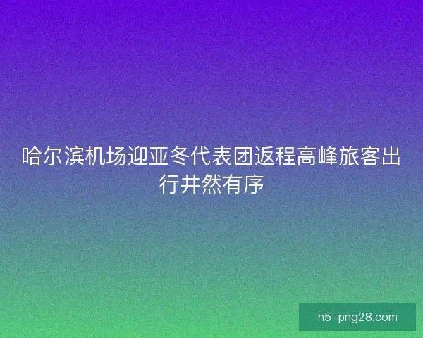 哈尔滨机场迎亚冬代表团返程高峰旅客出行井然有序